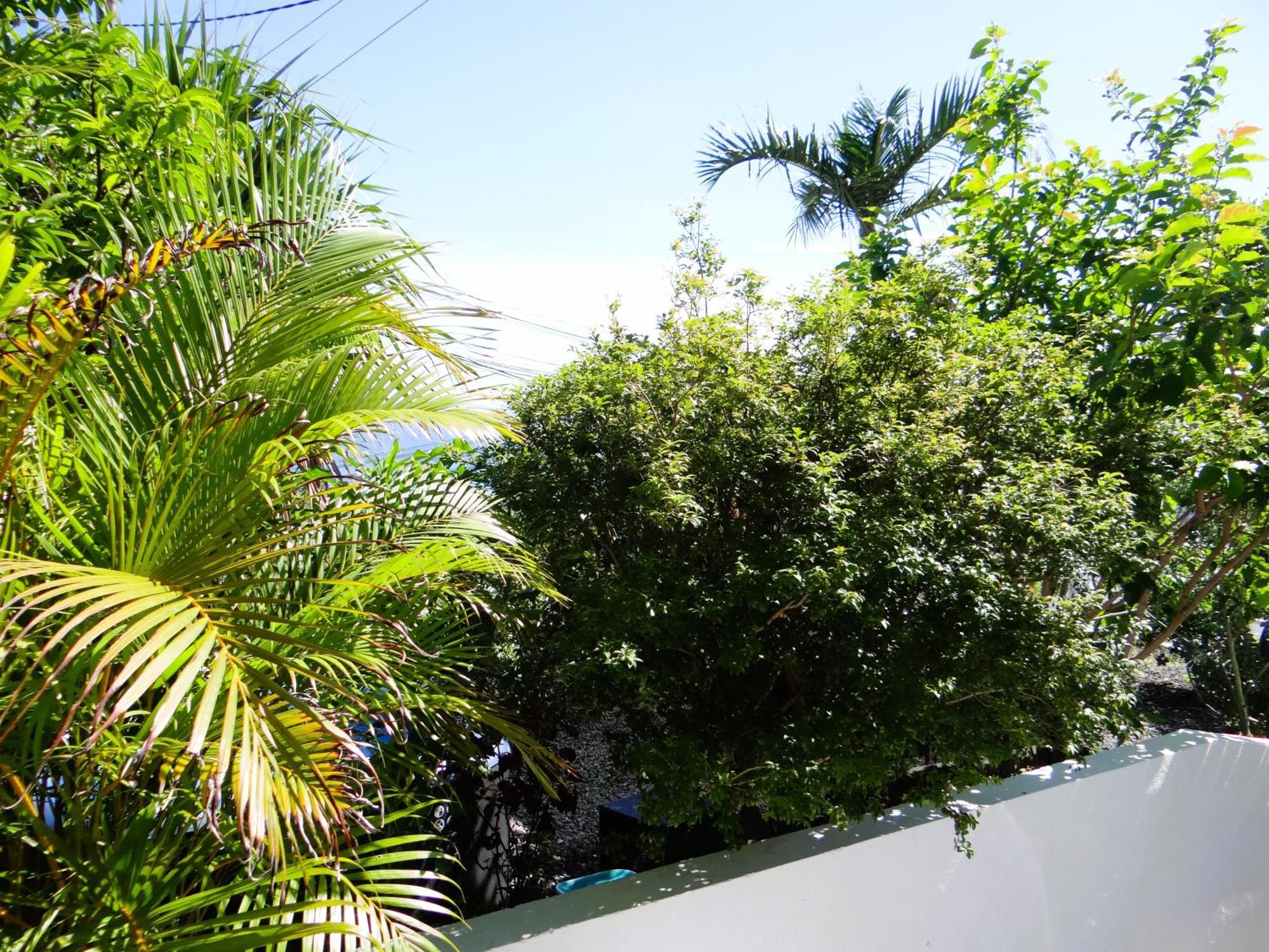 Apartamento Le Cocon De Madana Saint-Joseph Exterior foto